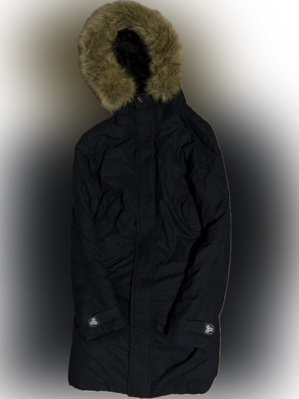 Aritzia TNA Raven Parka